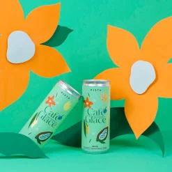 Camping|Ready-To-Drink Beverages>Ma Caféine Café Pista | Iced coffee in a can - 250 ml