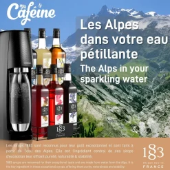 Flavored Syrups & Sauces>Ma Caféine Maison Routin 1883 | Spicy Mango Syrup in GLASS - 1 Liter